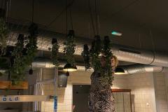 WWSV foto (18)
